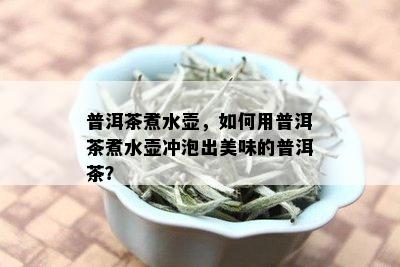 普洱茶煮水壶，如何用普洱茶煮水壶冲泡出美味的普洱茶？