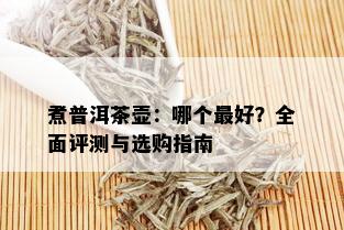 煮普洱茶壶：哪个更好？全面评测与选购指南