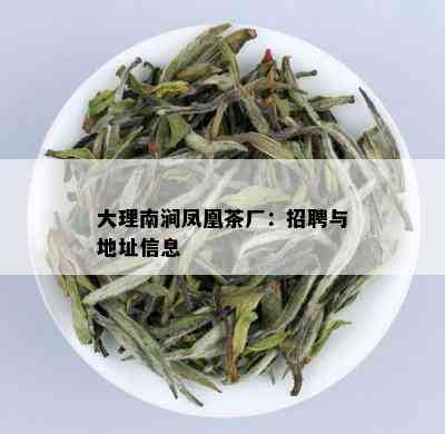 大理南涧凤凰茶厂：招聘与地址信息