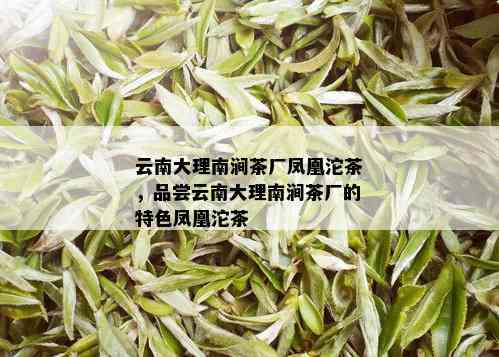 云南大理南涧茶厂凤凰沱茶，品尝云南大理南涧茶厂的特色凤凰沱茶