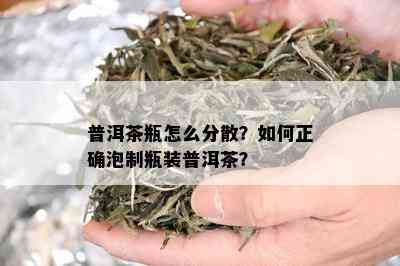 普洱茶瓶怎么分散？如何正确泡制瓶装普洱茶？