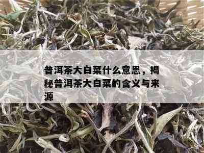 普洱茶大白菜什么意思，揭秘普洱茶大白菜的含义与来源