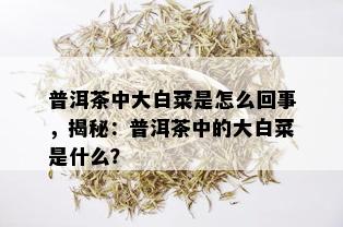 普洱茶中大白菜是怎么回事，揭秘：普洱茶中的大白菜是什么？