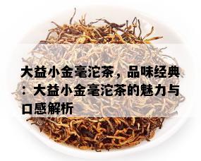 大益小金毫沱茶，品味经典：大益小金毫沱茶的魅力与口感解析