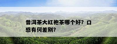 普洱茶大红袍茶哪个好？口感有何差别？