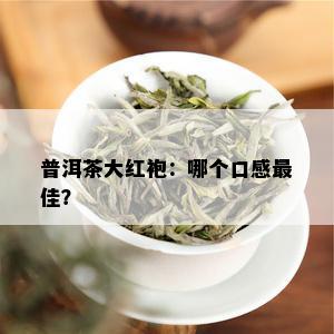 普洱茶大红袍：哪个口感更佳？