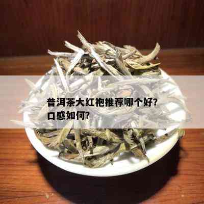 普洱茶大红袍推荐哪个好？口感如何？