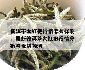 普洱茶大红袍行情怎么样啊，最新普洱茶大红袍行情分析与走势预测