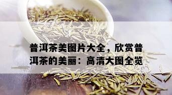 普洱茶美图片大全，欣赏普洱茶的美丽：高清大图全览