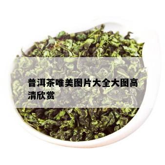 普洱茶唯美图片大全大图高清欣赏