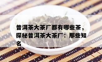 普洱茶大茶厂都有哪些茶，探秘普洱茶大茶厂：那些知名