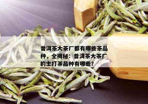 普洱茶大茶厂都有哪些茶品种，全揭秘：普洱茶大茶厂的主打茶品种有哪些？