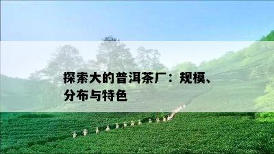 探索大的普洱茶厂：规模、分布与特色