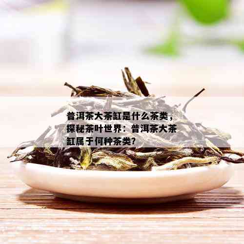 普洱茶大茶缸是什么茶类，探秘茶叶世界：普洱茶大茶缸属于何种茶类？