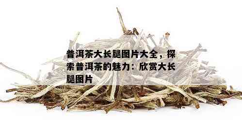 普洱茶大长腿图片大全，探索普洱茶的魅力：欣赏大长腿图片