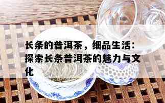 长条的普洱茶，细品生活：探索长条普洱茶的魅力与文化