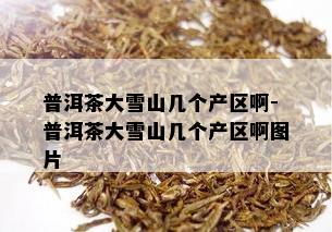 普洱茶大雪山几个产区啊-普洱茶大雪山几个产区啊图片