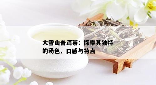 大雪山普洱茶：探索其独特的汤色、口感与特点