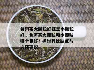 普洱茶大颗粒好还是小颗粒好，普洱茶大颗粒和小颗粒哪个更好？探讨其优缺点与选择建议