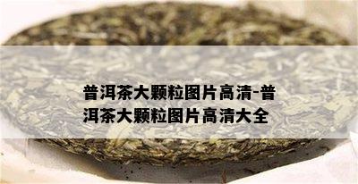 普洱茶大颗粒图片高清-普洱茶大颗粒图片高清大全