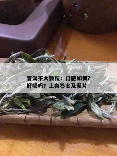 普洱茶大颗粒：口感如何？好喝吗？上有答案及图片