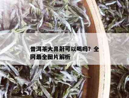 普洱茶大鼻鼾可以喝吗？全网最全图片解析