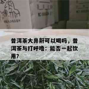 普洱茶大鼻鼾可以喝吗，普洱茶与打呼噜：能否一起饮用？