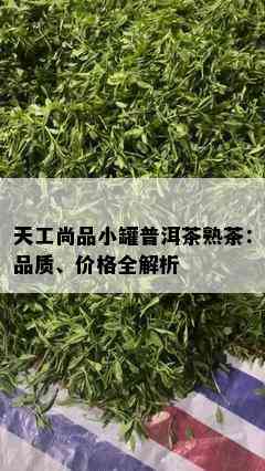 天工尚品小罐普洱茶熟茶：品质、价格全解析