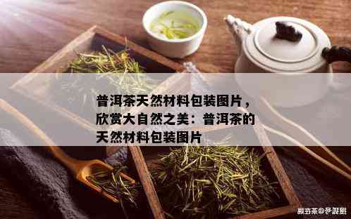 普洱茶天然材料包装图片，欣赏大自然之美：普洱茶的天然材料包装图片