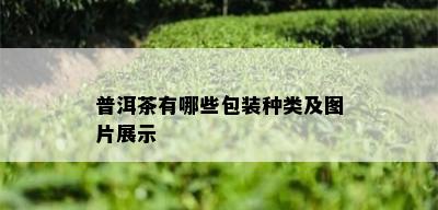 普洱茶有哪些包装种类及图片展示