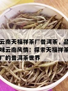 云南天福祥茶厂普洱茶，品味云南风情：探索天福祥茶厂的普洱茶世界