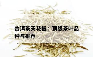 普洱茶天花板：顶级茶叶品种与推荐