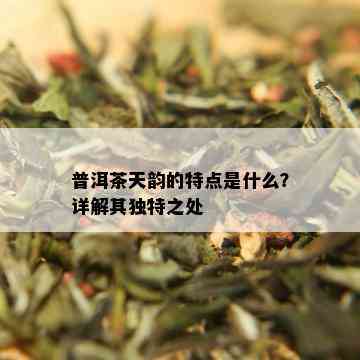 普洱茶天韵的特点是什么？详解其独特之处