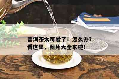 普洱茶太可爱了！怎么办？看这里，图片大全来啦！