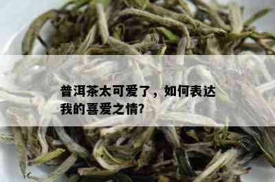 普洱茶太可爱了，如何表达我的喜爱之情？