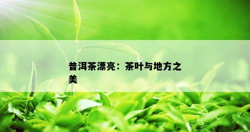 普洱茶漂亮：茶叶与地方之美