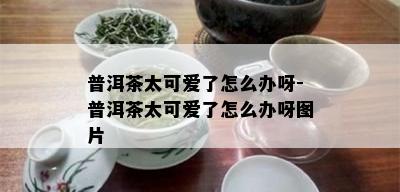 普洱茶太可爱了怎么办呀-普洱茶太可爱了怎么办呀图片