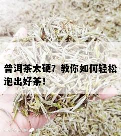 普洱茶太硬？教你如何轻松泡出好茶！