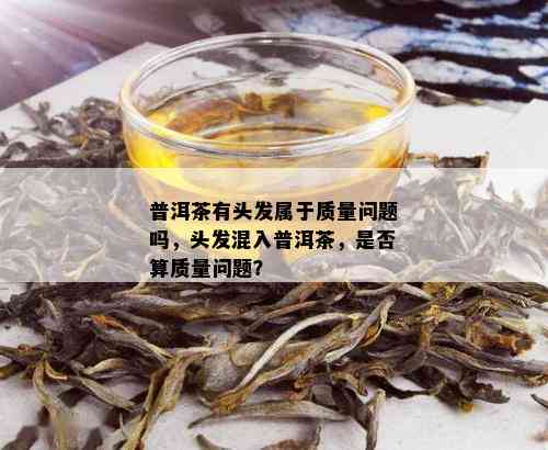 普洱茶有头发属于质量问题吗，头发混入普洱茶，是否算质量问题？