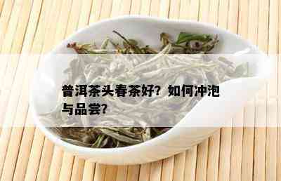 普洱茶头春茶好？如何冲泡与品尝？