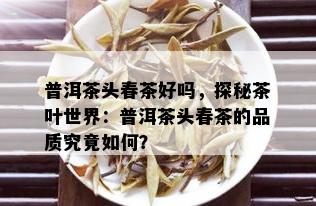 普洱茶头春茶好吗，探秘茶叶世界：普洱茶头春茶的品质究竟如何？