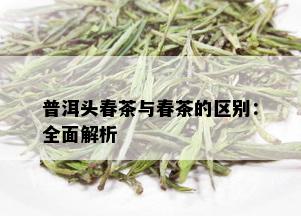 普洱头春茶与春茶的区别：全面解析