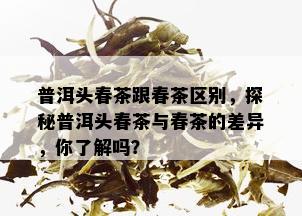 普洱头春茶跟春茶区别，探秘普洱头春茶与春茶的差异，你了解吗？