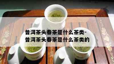 普洱茶头春茶是什么茶类-普洱茶头春茶是什么茶类的