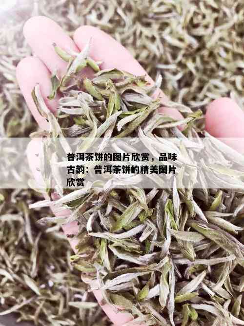 普洱茶饼的图片欣赏，品味古韵：普洱茶饼的精美图片欣赏