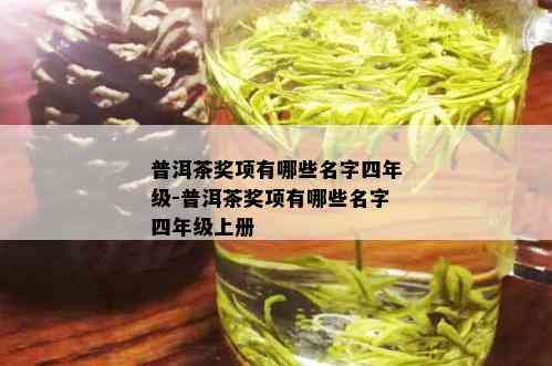 普洱茶奖项有哪些名字四年级-普洱茶奖项有哪些名字四年级上册