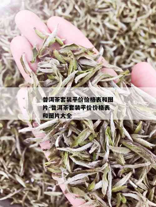 普洱茶套装平价价格表和图片-普洱茶套装平价价格表和图片大全