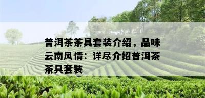 普洱茶茶具套装介绍，品味云南风情：详尽介绍普洱茶茶具套装