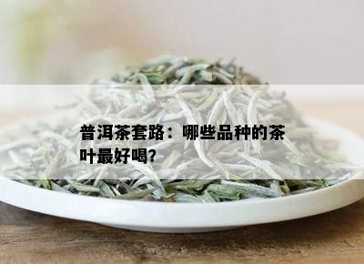 普洱茶套路：哪些品种的茶叶更好喝？