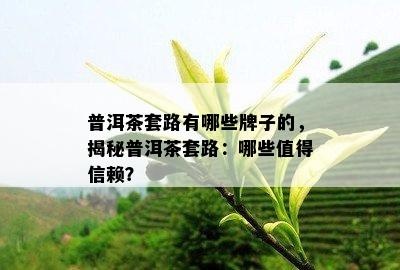 普洱茶套路有哪些牌子的，揭秘普洱茶套路：哪些值得信赖？